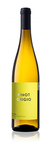 Pinot Grigio DOC 2019