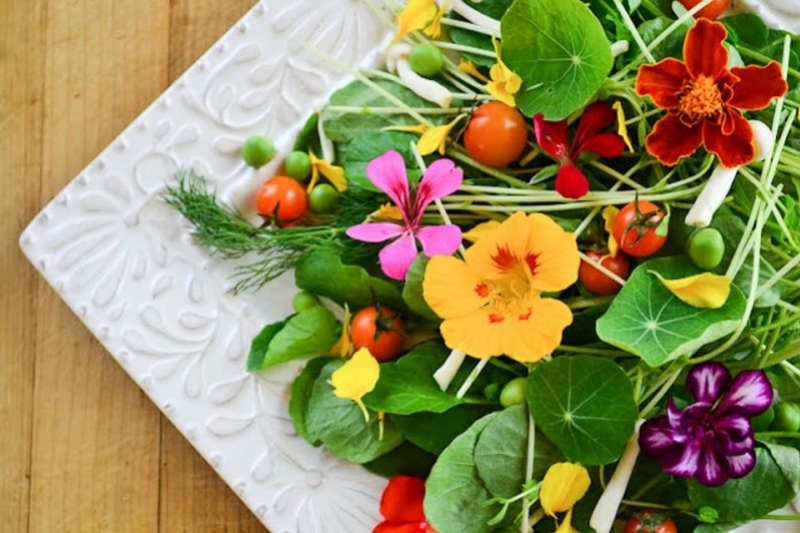 Blog Gastromenu.sk - Jedlé kvety - ak ich správne skombinujete vaše jedlo obohatíte o ďalší rozmer