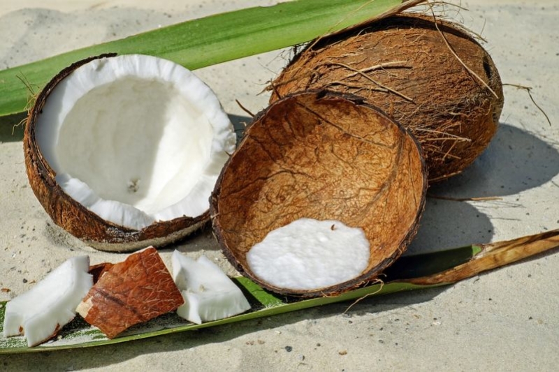 Blog Gastromenu.sk - Voda z kokosového orecha sa svojimi vlastnosťami prirovnáva ku vzácnej krvnej plazme